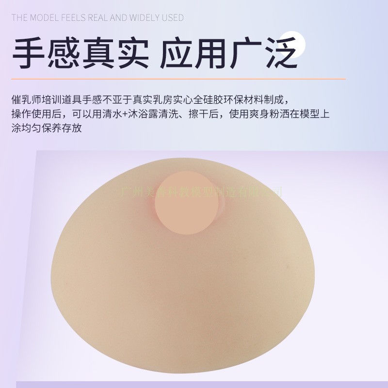 小号全硅胶乳房模型手感真实催乳师假胸乳房家政母婴护理培训教具 - 图0