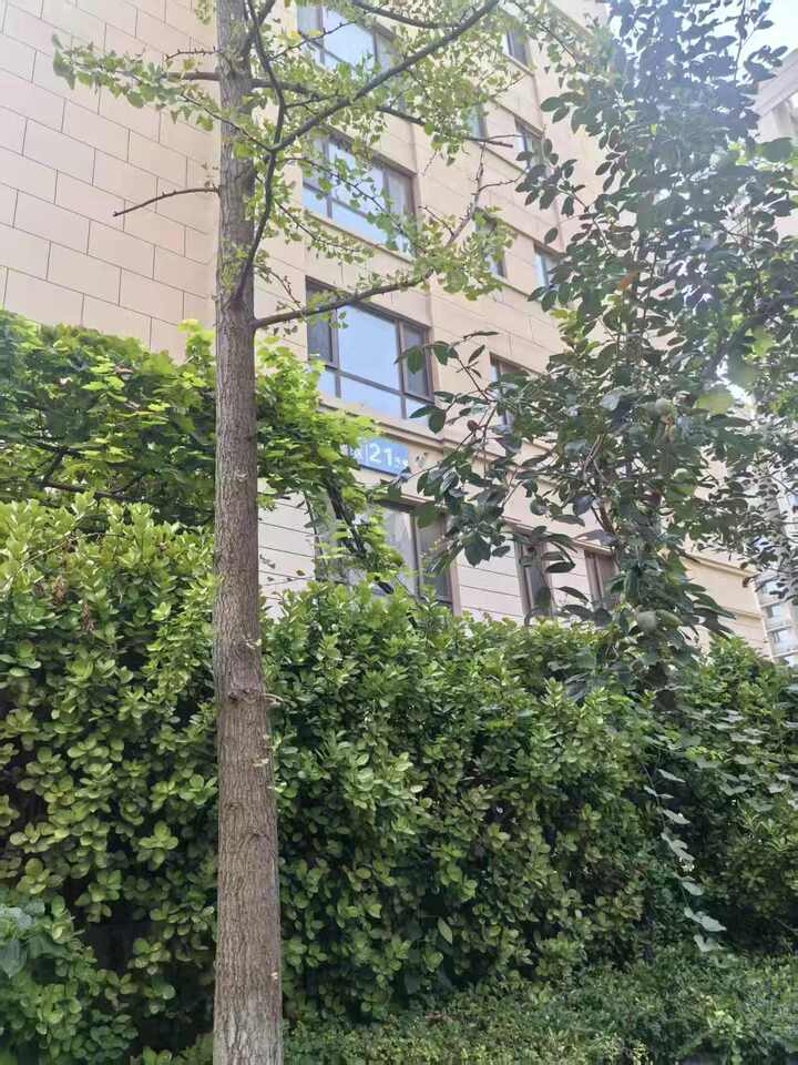 山东省济南市章丘区世纪大道1526号中国中铁诺德名城二期21号楼3-601房产一处