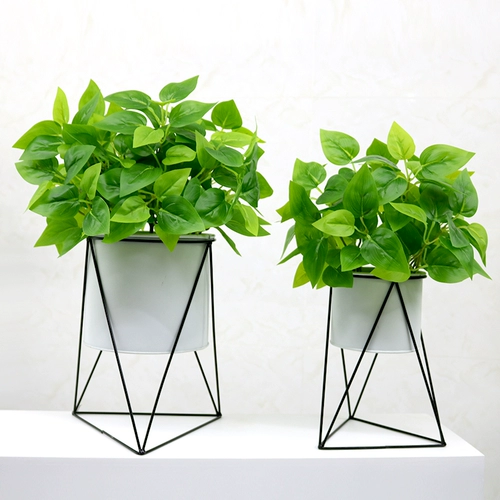 Ins nordic creative simulation plant unic art bottle coremer