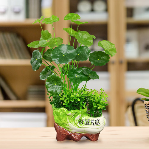仿真绿植物盆栽塑料仿真花假花摆设家居客厅电视柜茶几装饰品摆件 - 图2