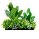 Outdoor flower box layout green ivy leaves decorate grass