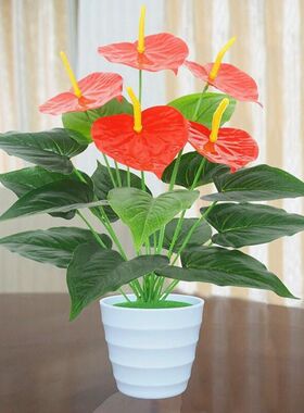 仿真绿色植物落地盆栽景摆设件绿植红掌假花草塑料花客厅室内装饰
