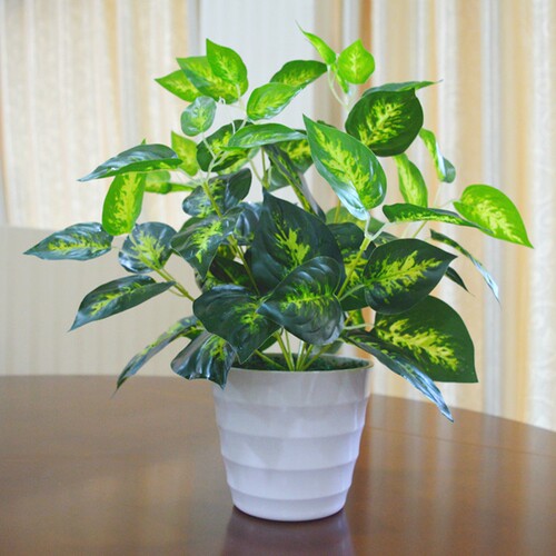 仿真绿萝盆栽室内仿真植物塑料小盆栽装饰绿植仿真花草假植物绿萝 - 图0