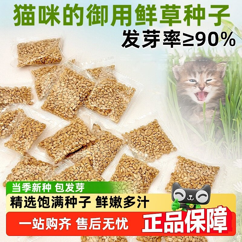 小麦猫草种子四季播种大麦燕麦黄豆芝麻花生籽芽苗菜猫薄荷排毛球,淘宝优惠券,粉丝福利购,淘宝优惠卷