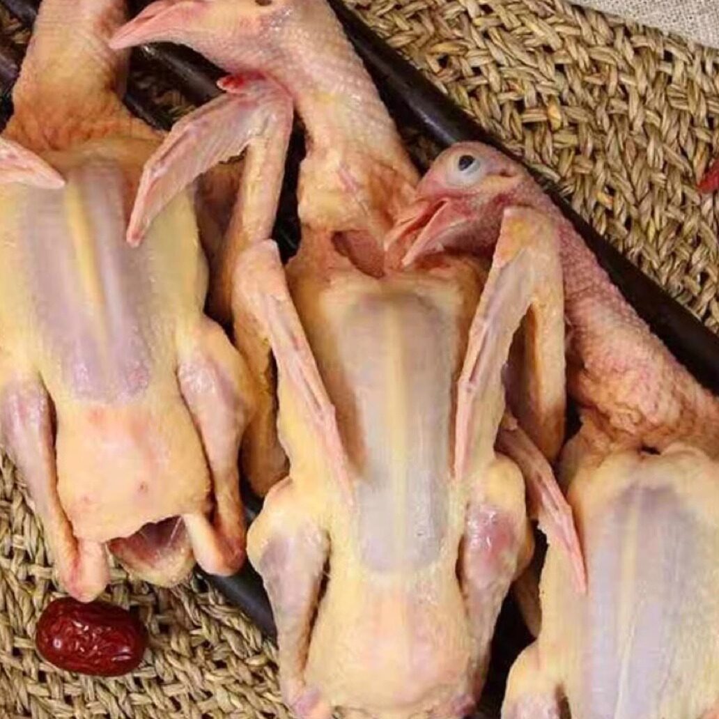 农家新鲜现宰鲜嫩杂粮喂养乳鸽营养老鸽子肉煲汤顺丰冰鲜发货