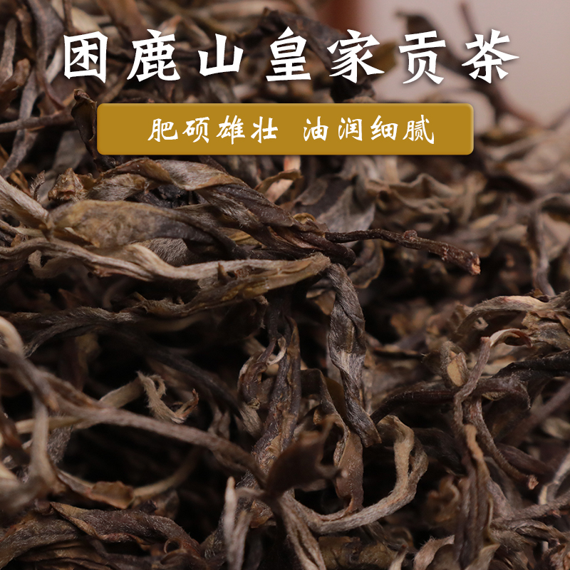 玉灯老人普洱茶生茶宁洱困鹿山皇家贡茶古树茶2022头春500克散装