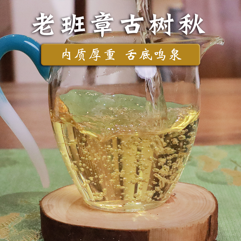 玉灯老人普洱茶生茶勐海布朗山老班章500年挑采古树2022秋50g散茶