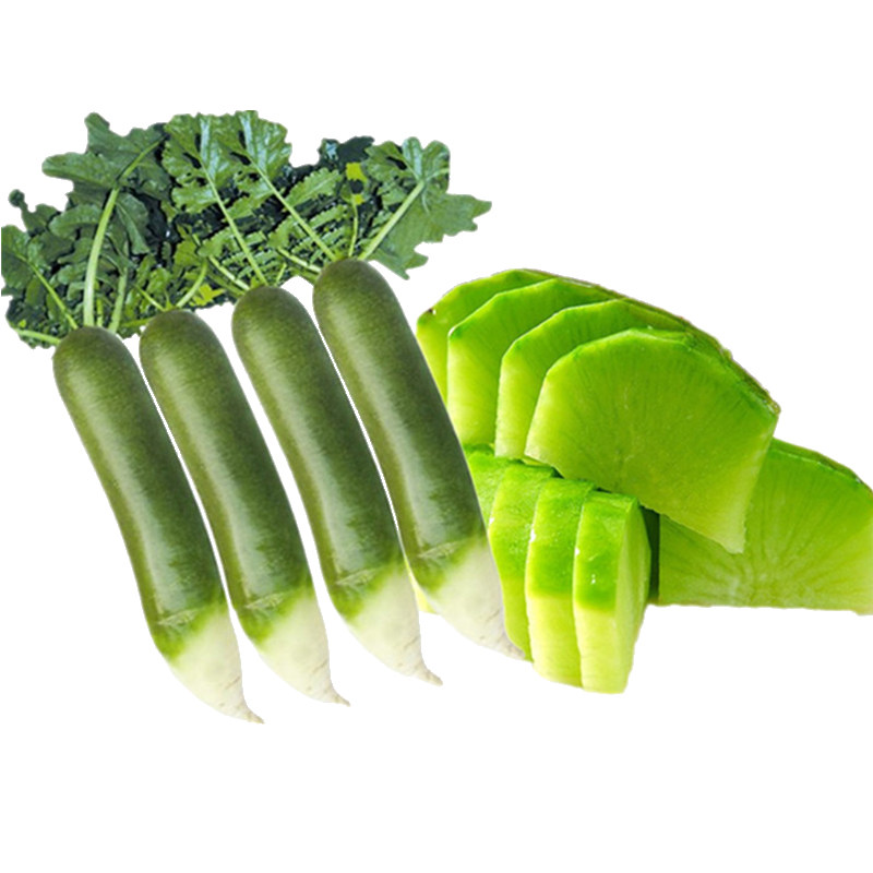 潍坊萝卜水果萝卜甜脆水果型潍县沙窝青萝卜10斤新鲜天津生吃正宗,淘宝优惠券,粉丝福利购,淘宝优惠卷