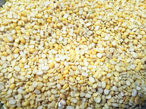 黄扁豆 黄色马粟豆 安达斯 散装 500g - 图0