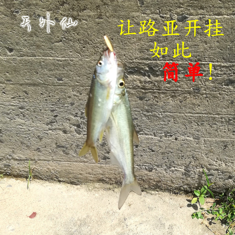 天外仙15mm叩甲虫亮片三只装子线双钩马口白条迷你路亚亮片,淘宝优惠券,粉丝福利购,淘宝优惠卷