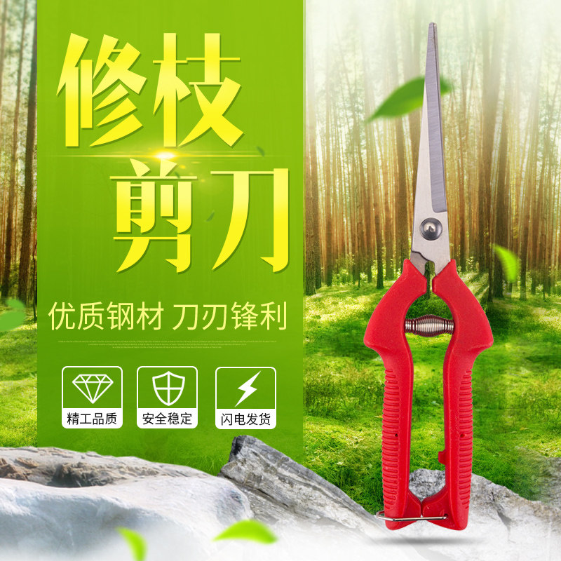 采果剪摘果不锈钢翘头剪刀稀果剪 修枝剪番茄剪园艺剪刀园艺工具,淘宝优惠券,粉丝福利购,淘宝优惠卷