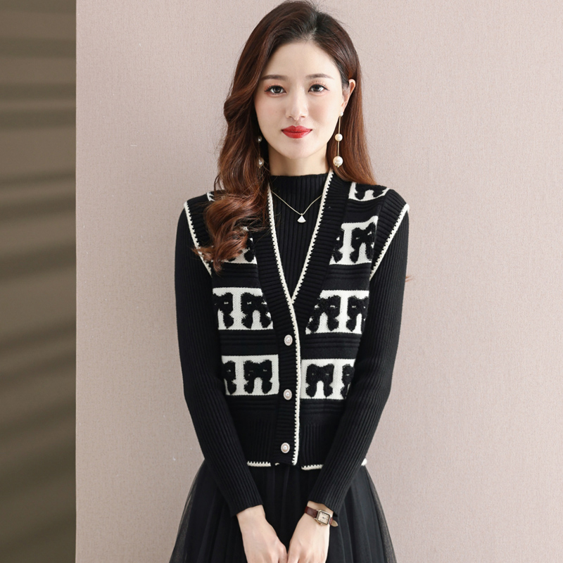 针织小马甲女外搭背心春秋2025新款冬季刺绣毛线马夹毛衣外套叠穿 - 图3
