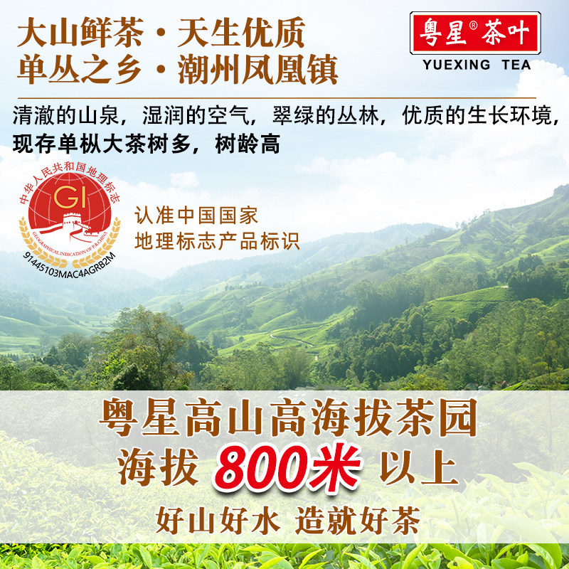 【小泡装】鸭屎香单丛茶凤凰单枞乌龙茶凤凰茶单枞茶单丛清香花香,淘宝优惠券,粉丝福利购,淘宝优惠卷