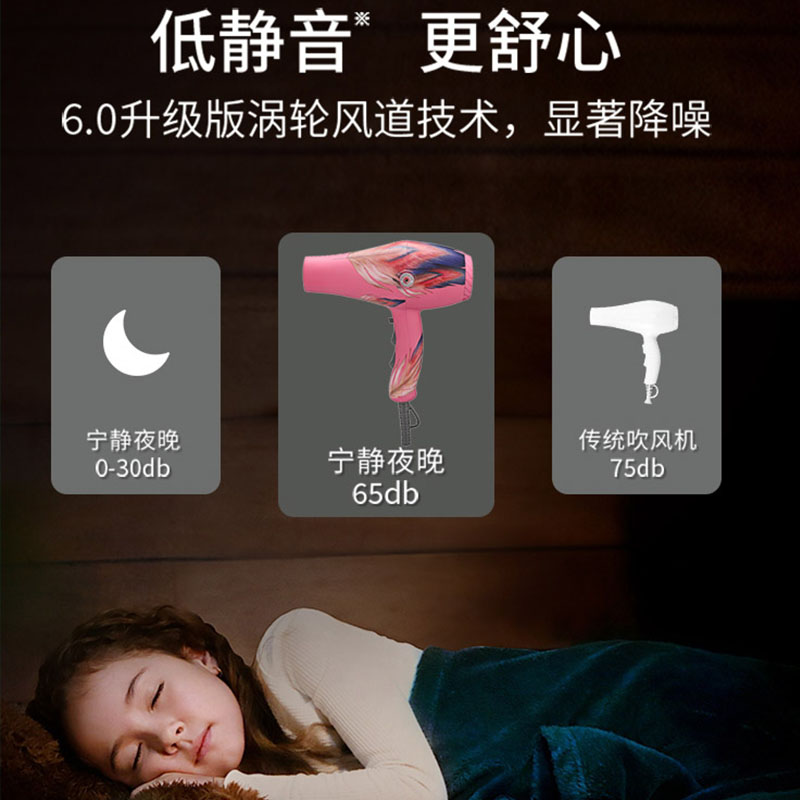火之凤8960吹风机发型师专用发廊大功率理发店家用静音2200w速干