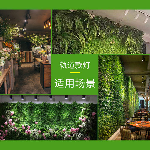 室内植物生长灯LED轨道射灯全光谱自然光绿植景观墙补光灯 - 图2