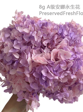 安娜绣球干花包永生花团扇材料花