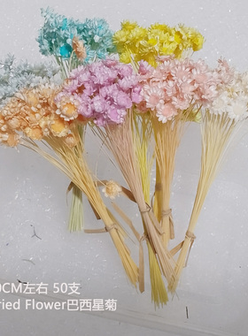 浅色系星菊小星花雏菊短枝戒指花