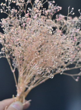 葭草干花包小满天星永生花束花头手工材料浮油花压花贴画客厅装饰