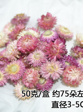 干花包包邮粉色盒装保护天然风干