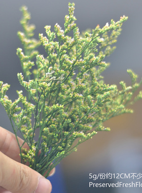 情人草永生花短枝手工DIY材料包