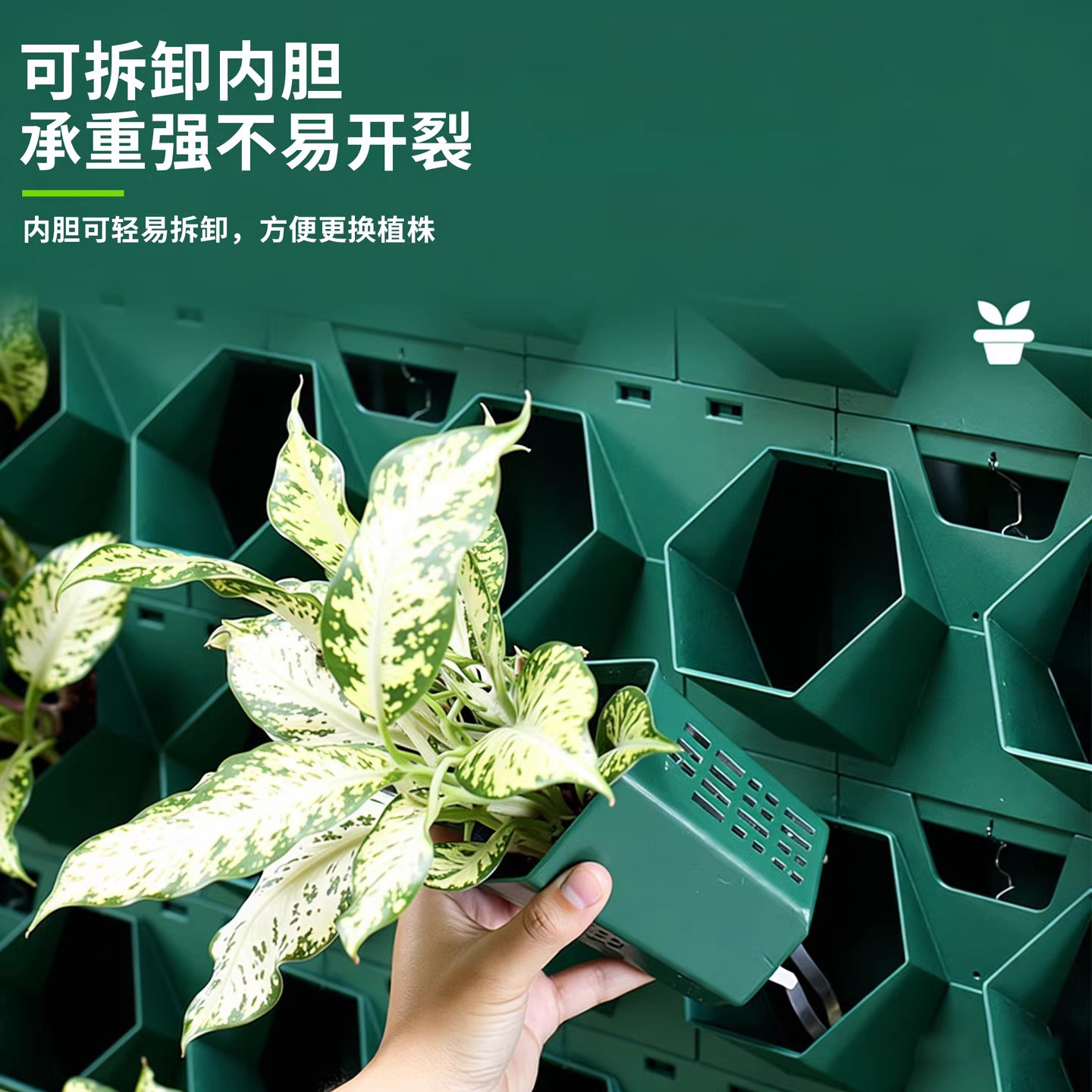 绿植墙植物种植盒客厅阳台热植花架墙洞洞板组合式种植墙自吸水,淘宝优惠券,粉丝福利购,淘宝优惠卷