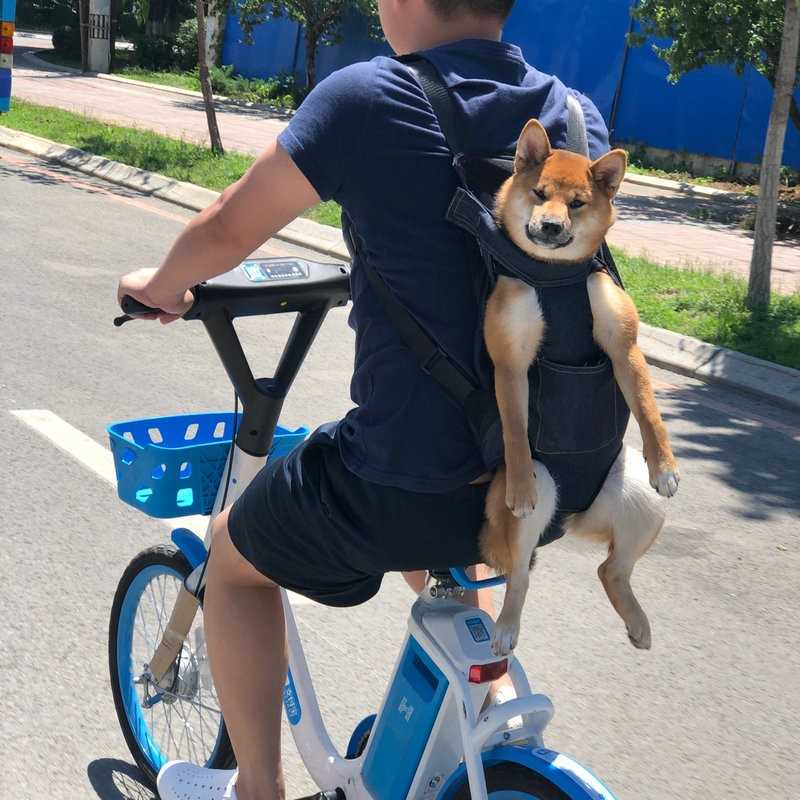 宠物中型犬胸前猫咪狗狗法斗柯基柴犬双肩骑行背包神器摩托车40斤