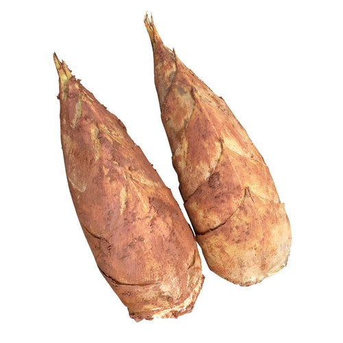 新鲜冬笋竹笋鲜竹笋现挖天然5斤装农家新鲜蔬果现挖笋春笋去老根 - 图3