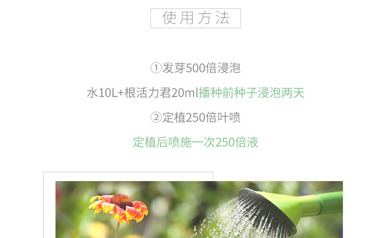 日本进口肥料生根催花肥花舞雪根活力君促开花促根