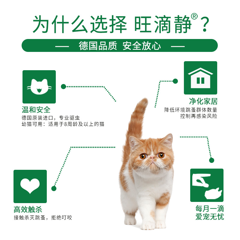 旺滴静体外驱虫药猫跳蚤药成猫专用体外滴剂宠物猫咪打虫药拜耳-图1