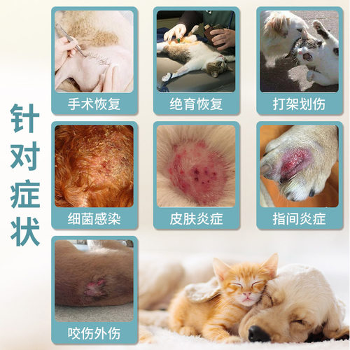 宠物狗狗外伤发炎化脓愈合止血粉猫咪绝育手术伤口消炎防腐生肌散 - 图0