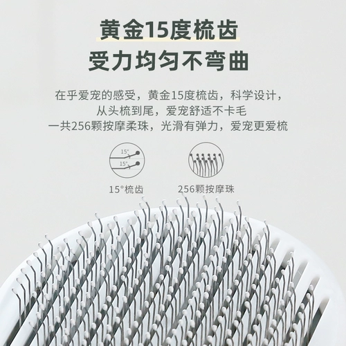 Кошка расчесывает кошачье расчесывание кошачьи волосы