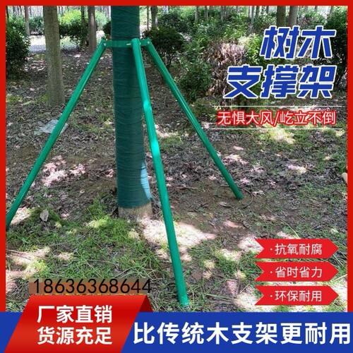 防风支架镀锌钢管树木支撑架大树固定支架园林绿化树木支撑杆 - 图2