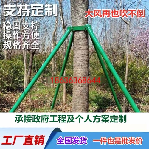 防风支架镀锌钢管树木支撑架大树固定支架园林绿化树木支撑杆 - 图1