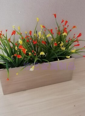 电镀铁艺绿植金属花盆