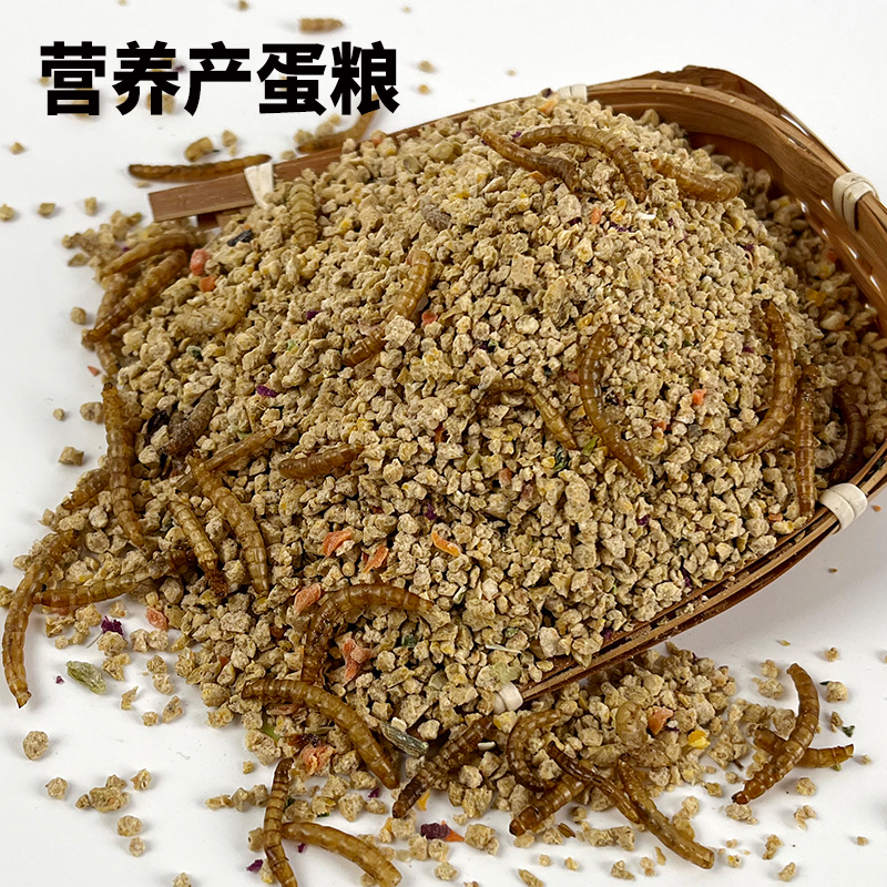 宠物鸡饲料芦丁鸡饲料开口粮产蛋粮全价粮阳台鸡育雏饲料500g-图0