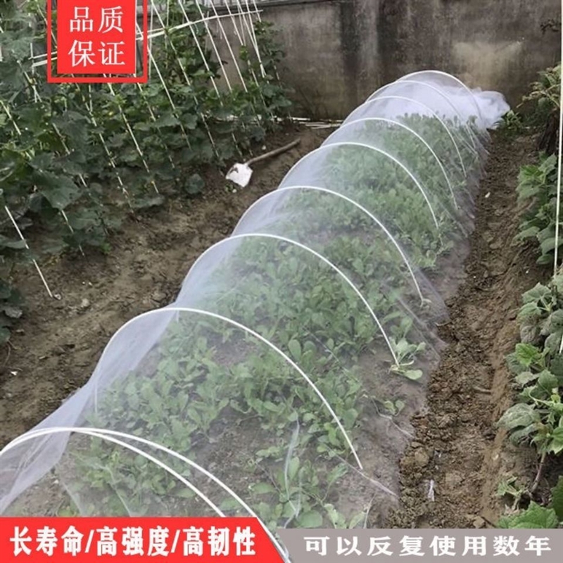 20根大棚骨架拱棚支架搭棚架子玻璃纤维种菜家庭用菜棚蔬菜小拱棚 - 图1