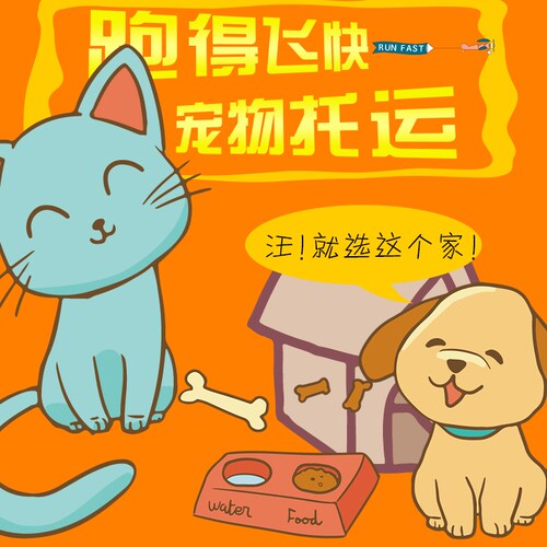 成都宠物托运猫咪狗上门接宠单独随机托运全国 - 图1