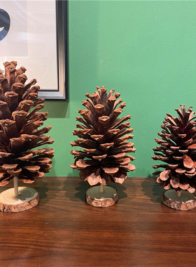 自然摆台森系客厅巨大特大