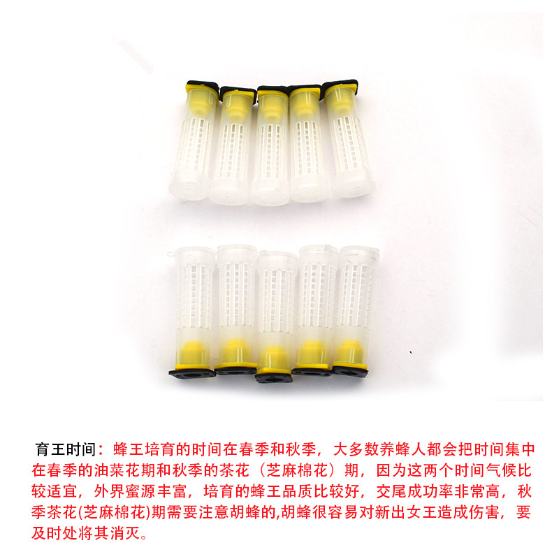 养蜂工具育王器塑料育台培育盒繁殖蜂免移虫育王盒育王工具盒包邮