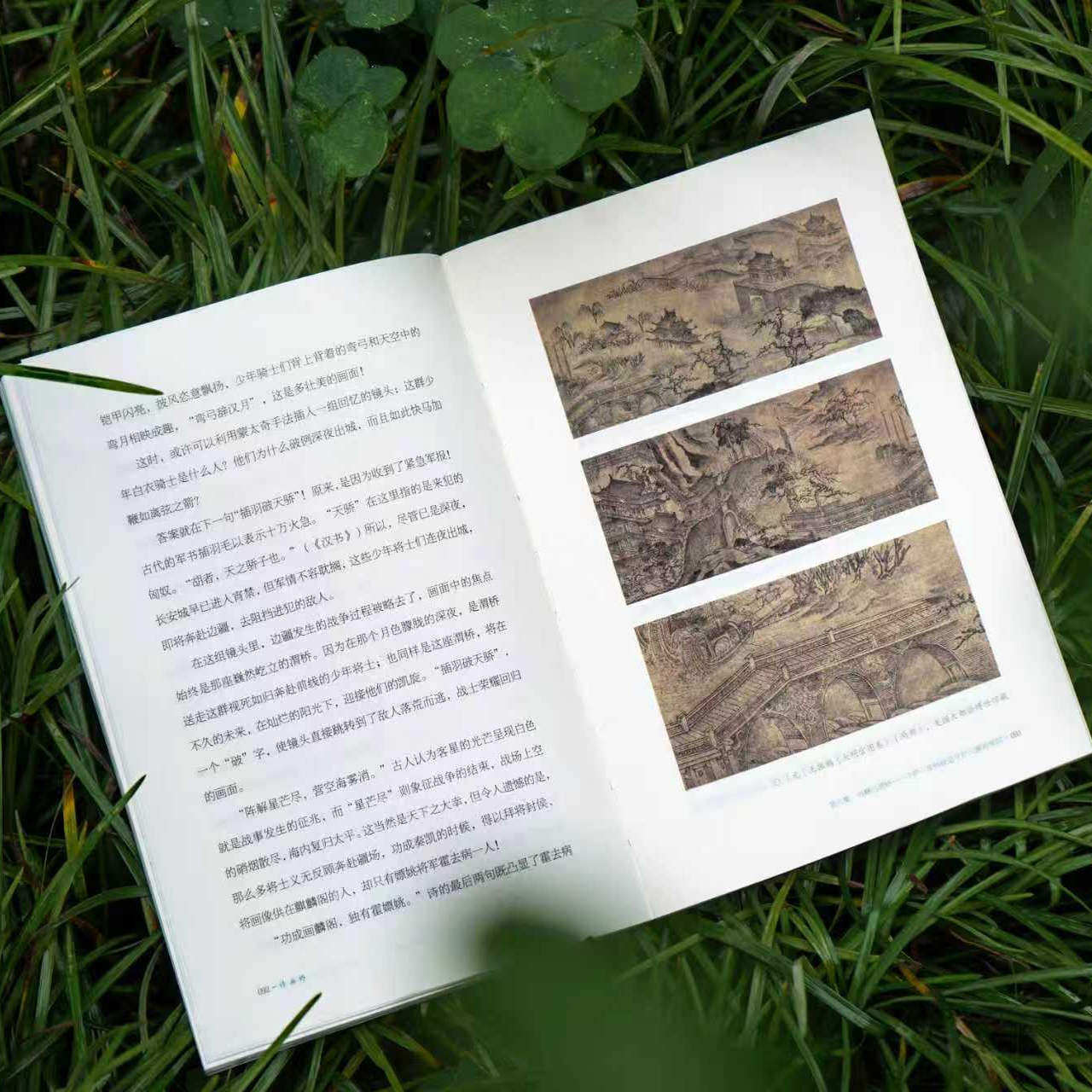 【好物体验专享】诗画桥（CCTV《百家讲坛》主讲人杨雨跨学科经典作品，馆藏级别高清古画，以诗心读懂中国美学）,淘宝优惠券,粉丝福利购,淘宝优惠卷