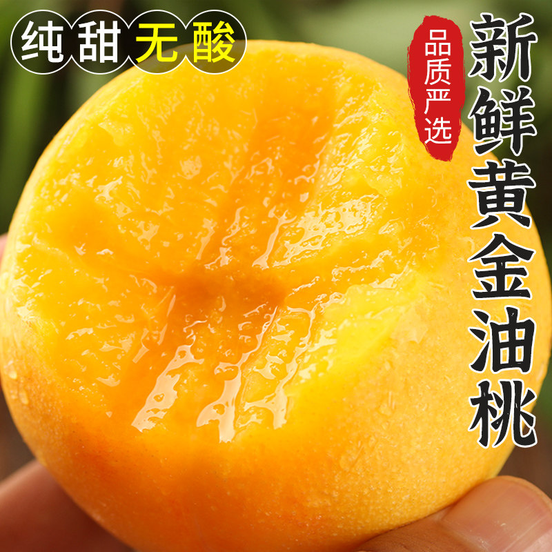 黄油桃新鲜水果整箱当季孕妇应季桃子山东蒙阴脆甜黄心桃黄金油桃