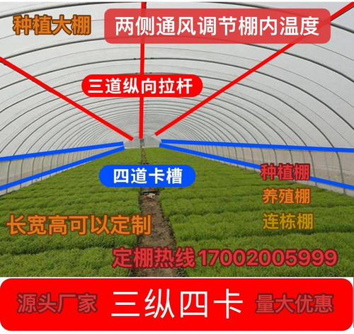 大棚骨架养牛羊大棚管全套连栋蔬菜种植棚定制菌菇棚 - 图0