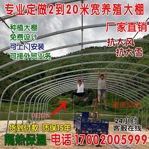 大棚骨架养牛羊大棚管全套连栋蔬菜种植棚定制菌菇棚 - 图2