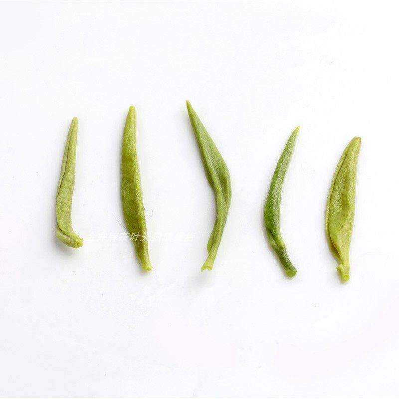 【25年新茶】金井特级绿茶200g 金茶 特级 绿茶 茶叶 名茶,淘宝优惠券,粉丝福利购,淘宝优惠卷