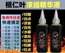 Ruren Leaf Concentrated Liquid Thai Fighting Fish Fish Tank Lowering Acid Turtle Reyron Yellow Water Positive Zong Liquid Sloth leaf drop Ph value