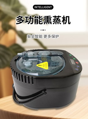 出口英国中药熏蒸机4L家用汗蒸