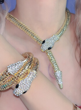 欧美时尚蛇形项链手环