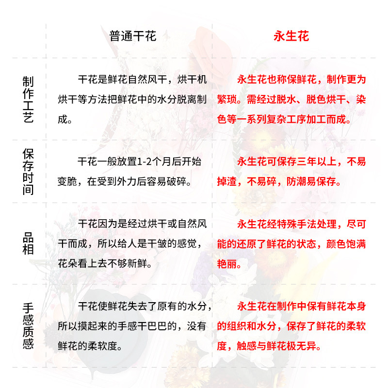 天然干花永生花假花仿真花儿童手工diy幼儿园自制团扇贴画材料包