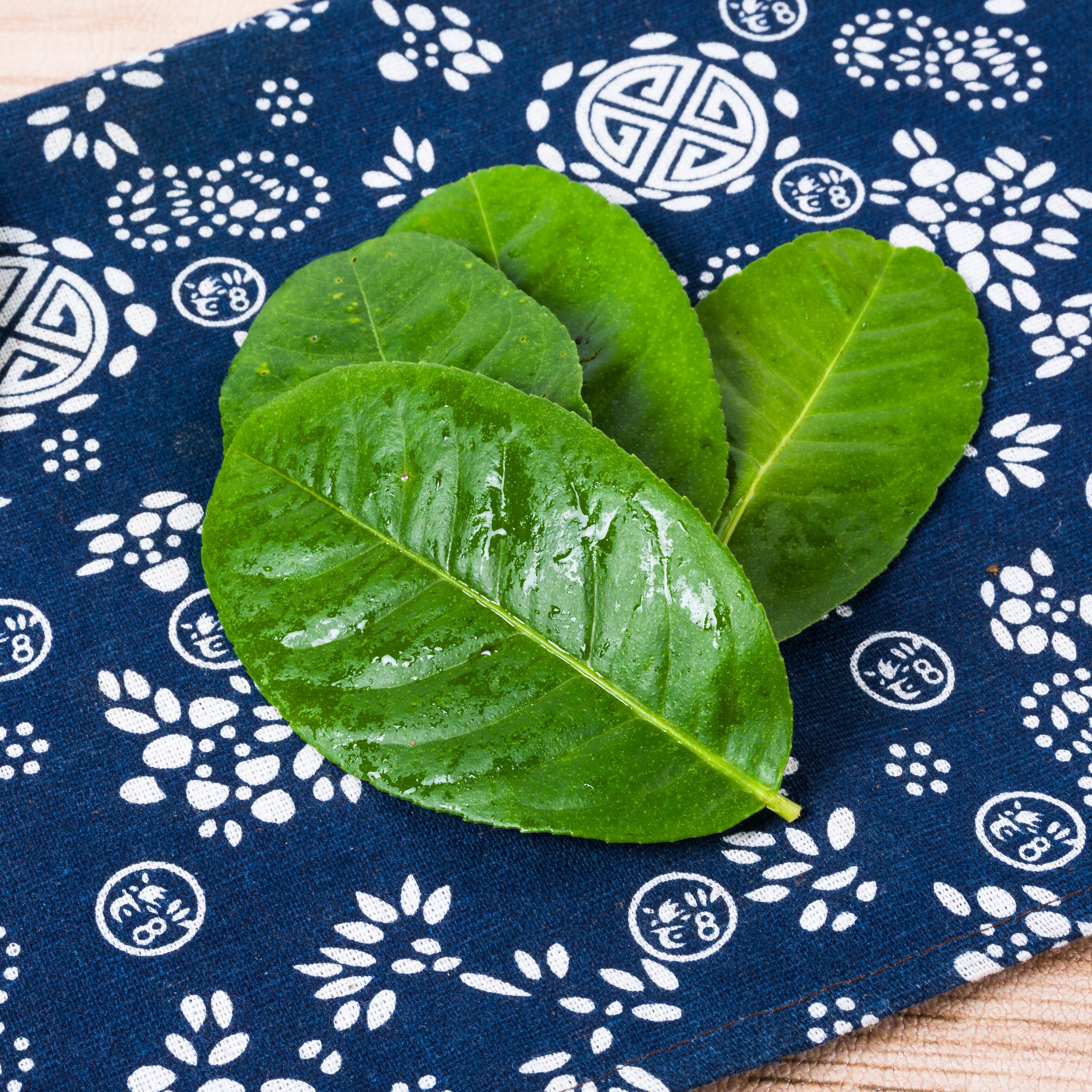 新鲜国产柠檬叶青柠叶去腥味西餐香料料理腌制烹饪调料冬阴功汤料 - 图1