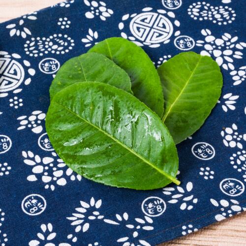 柠檬叶新鲜青柠叶西餐香料料理腌制烹饪调料500g包邮冬阴功汤原料 - 图0